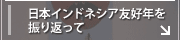 日本インドネシア友好年を振り返って