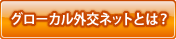 グローカル外交ネットとは？