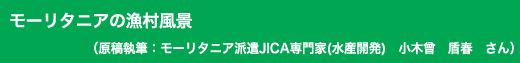 「モーリタニアの漁村風景」原稿執筆：モーリタニア派遣JICA専門家（水産開発）　小木曾　盾春　さん
