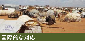 国際的な対応