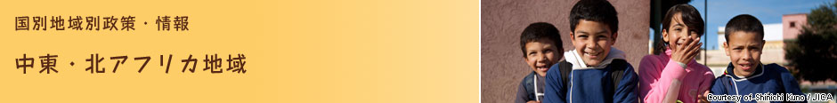 国別地域別政策・情報　中東・北アフリカ地域