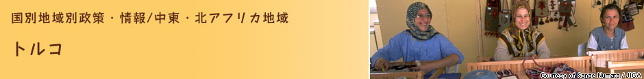 国別地域別政策・情報　中東・北アフリカ地域　トルコ