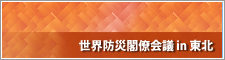 防災ハイレベル国際会議2012