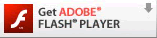 Get ADOBE FLASH PLAYER