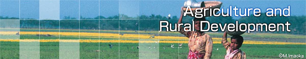 Agriculture and Rural Development
