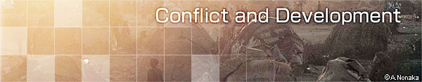 Conflicts and Development