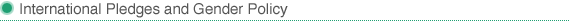 International Pledges & Gender Policy
