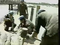 video image