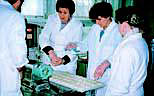 Training at a Small- to Medium-sized Enterprise Center