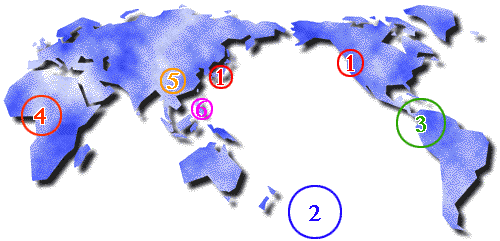 World Map