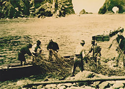 1930年代頃の竹島でのあしか猟の様子(写真提供：島根県竹島資料室個人所蔵)