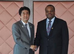 Japan-Swaziland Summit Meeting