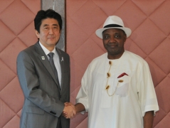 Meeting between Prime Minister Abe and H.E. Arc. Mohammed Namadi Sambo, Vice President of the Federal Republic of Nigeria