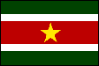 Suriname flag