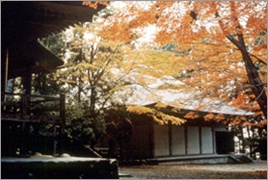 chuusonji