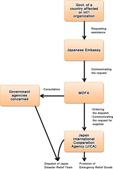 Disaster Management Flow Chart