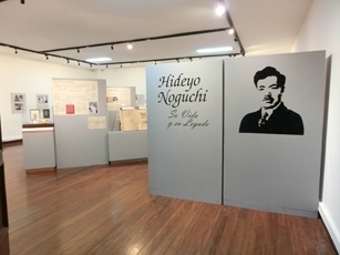 (Photo 6) Exhibition dedicated to Dr. Nogu-chi Hideyo
