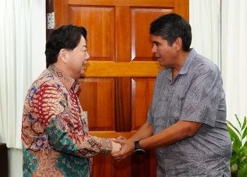Foreign Minister Hayashi shaking hands with President WHIPPS