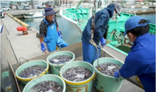 (Photo) Fukushima: Japan takes all necessary precautions ahead of plans to discharge treated water