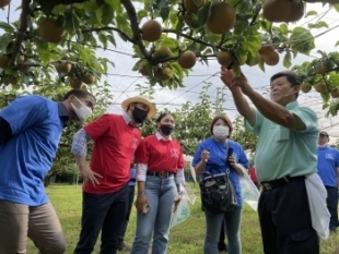 (photo 7) Visit to the Pear Orchards in Matsudo City