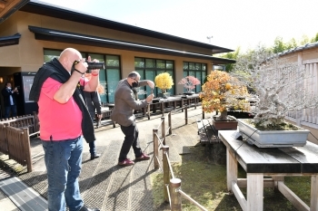 (photo 14) Omiya Bonsai Museum