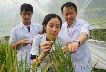 Photo of teaching climate change-adapted agriculture in a greenhouse at Can Tho University in the Mekong Delta region of southern Vietnam.