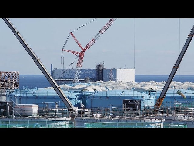 10 years of How the Japanese are handling Fukushima (Euronews)(video)