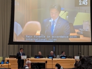 Vice-Minister for Foreign Affairs HOSAKA deliverd a statement