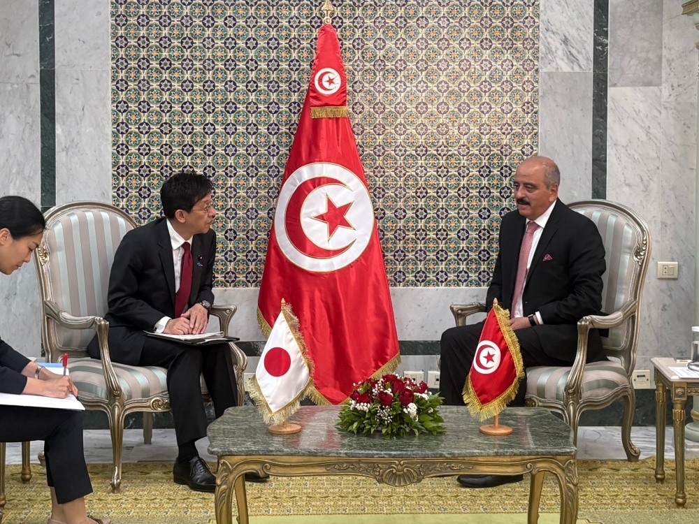 Parliamentary Vice-Minister Matsumoto meeting with Foreign Minister Nafti