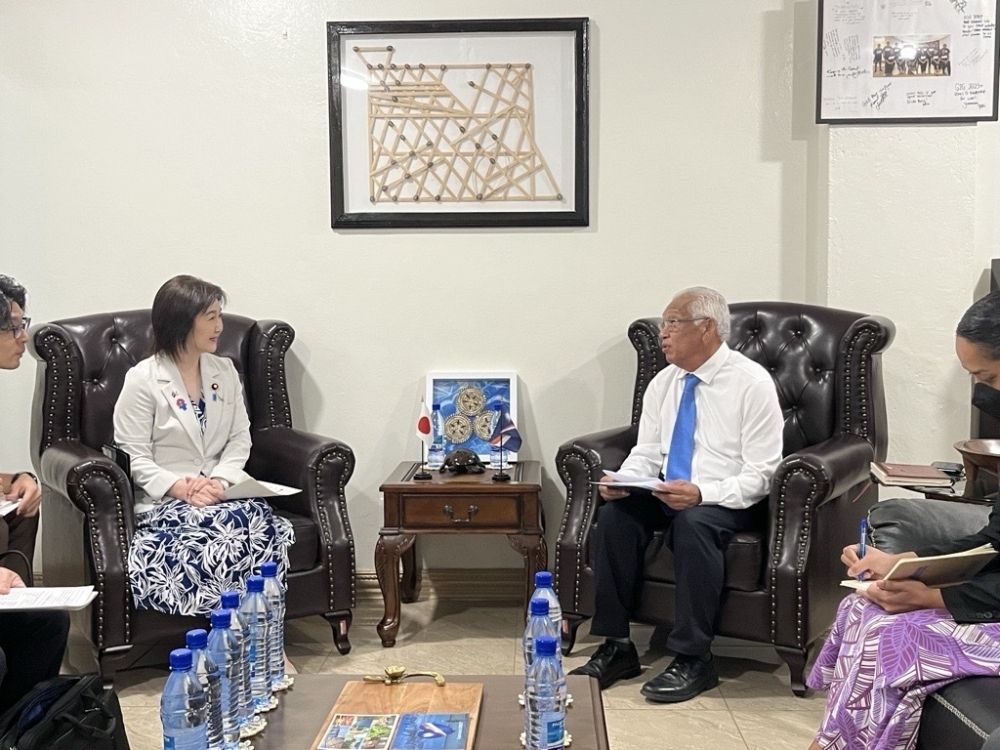 Parliamentary Vice-Minister Ikuina talking with Acting Minister for Foreign Affairs Trade Zakios