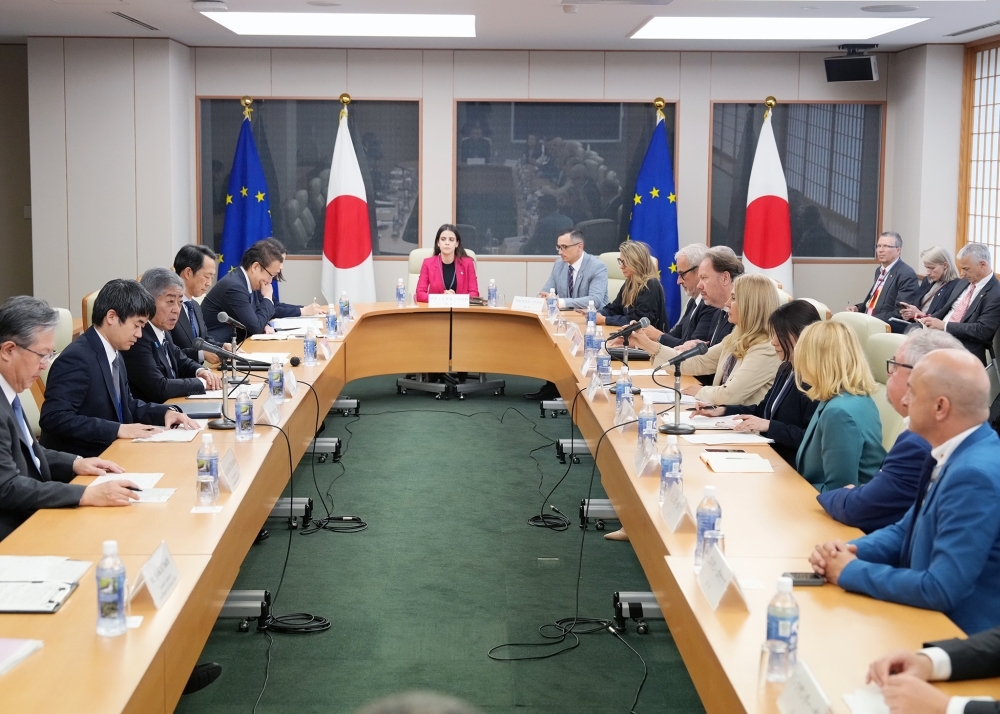 Foreign Minister IWAYA and the European Parliament’s Delegation for Relations with Japan, exchanging opinions