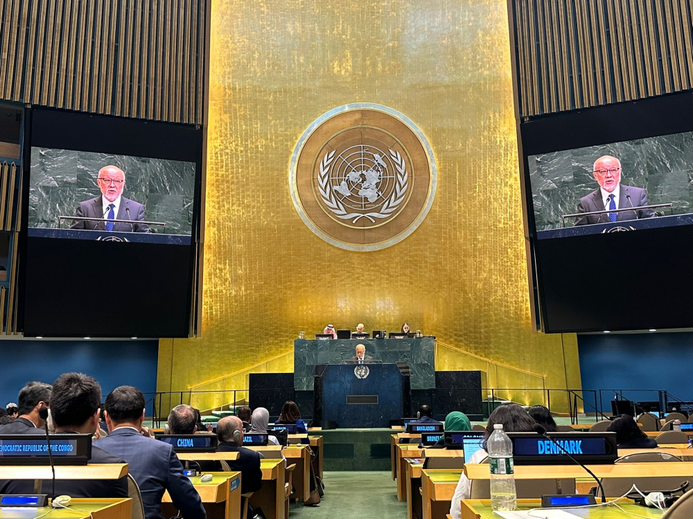 Scene from The High-Level International Conference for the Peaceful Settlement of the Question of Palestine and the Implementation of the Two-State Solution