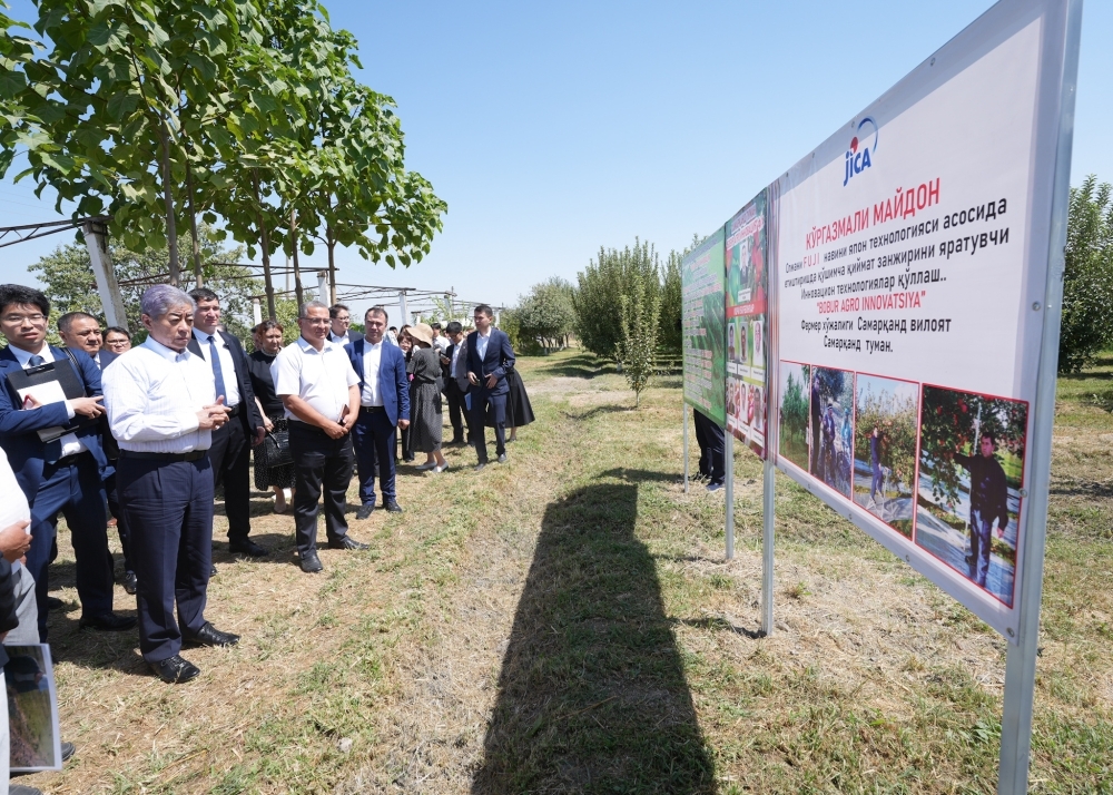 Foreign Minister Iwaya visiting apple orchard and listening to the explanation