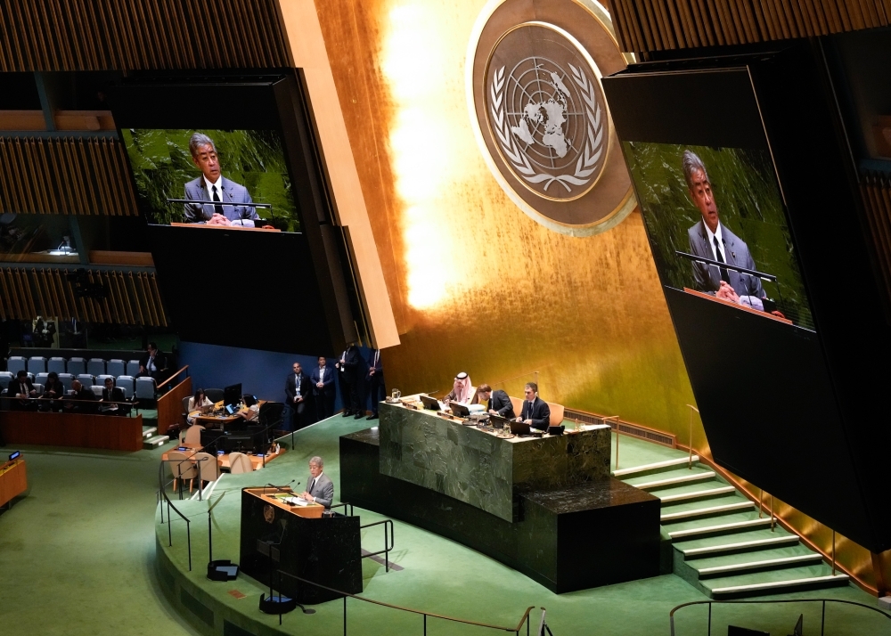 Foreign Minister IWAYA delivered a Statement
