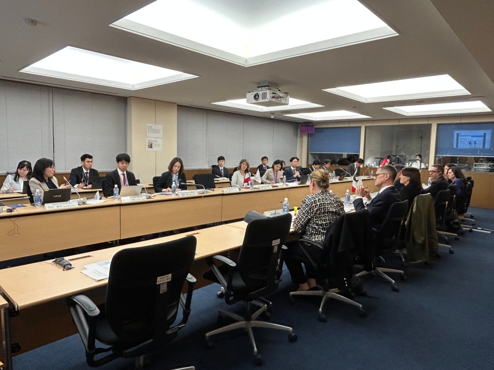 Participants in the meeting