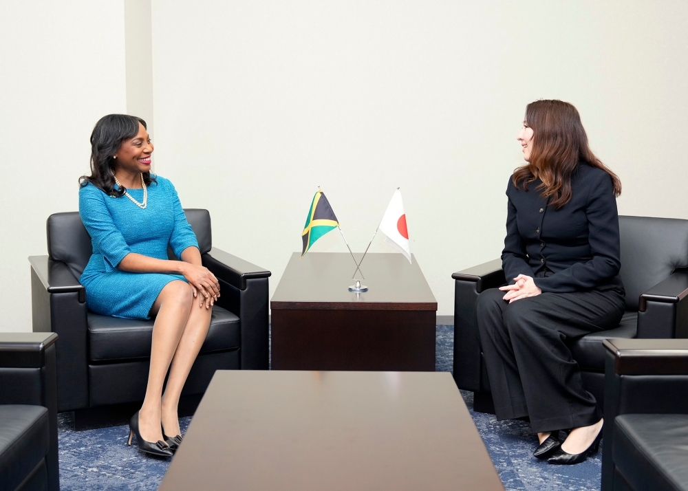 Meeting between Parliamentary Vice-Minister Eri and Ambassador Richards