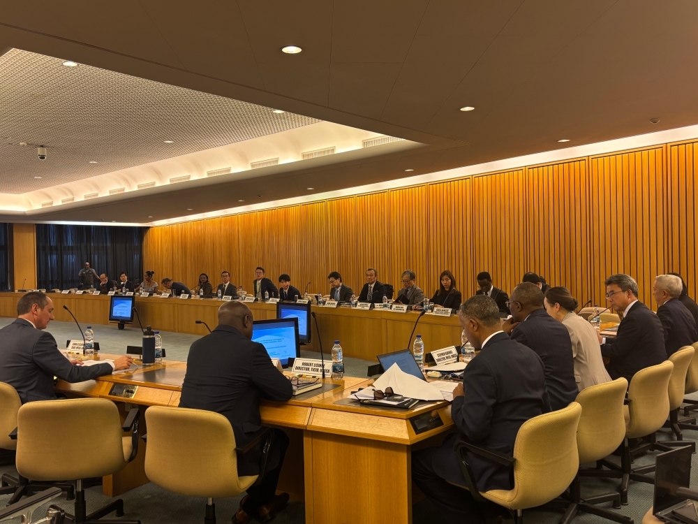 Scenes from the UNECA seminar in progress