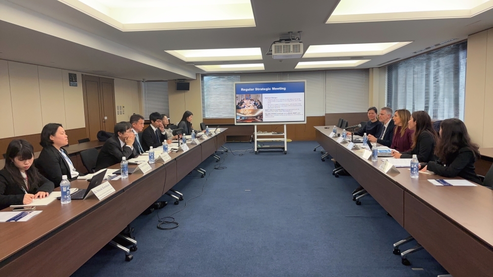 strategic dialog situation