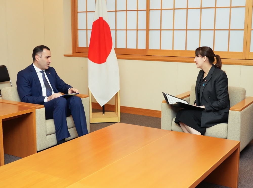 Parliamentary Vice-Minister Eri talking with Ambassador Salim