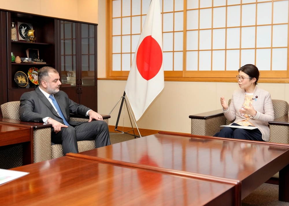 State Minister KUMINITSU talking with Ambassador Talibov