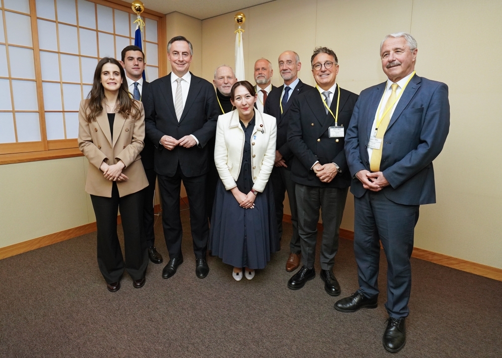 Group photo of Parliamentary Vice-Minister ERI and the Delegation of the European Parliament Committee on Foreign Affairs