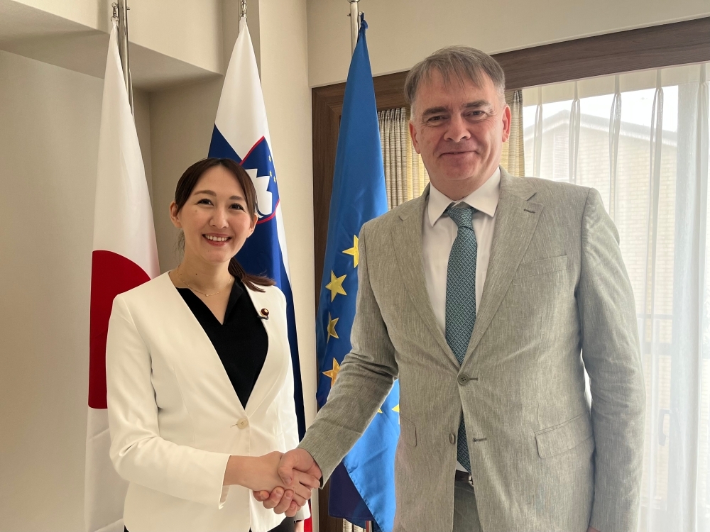 Parliamentary Vice-Minister ERI and Ambassador RIFELJ shaking hands in front of the two countries' flags