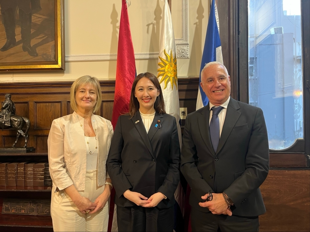 Meeting with Mr. Carlos Negro, Minister of Interior