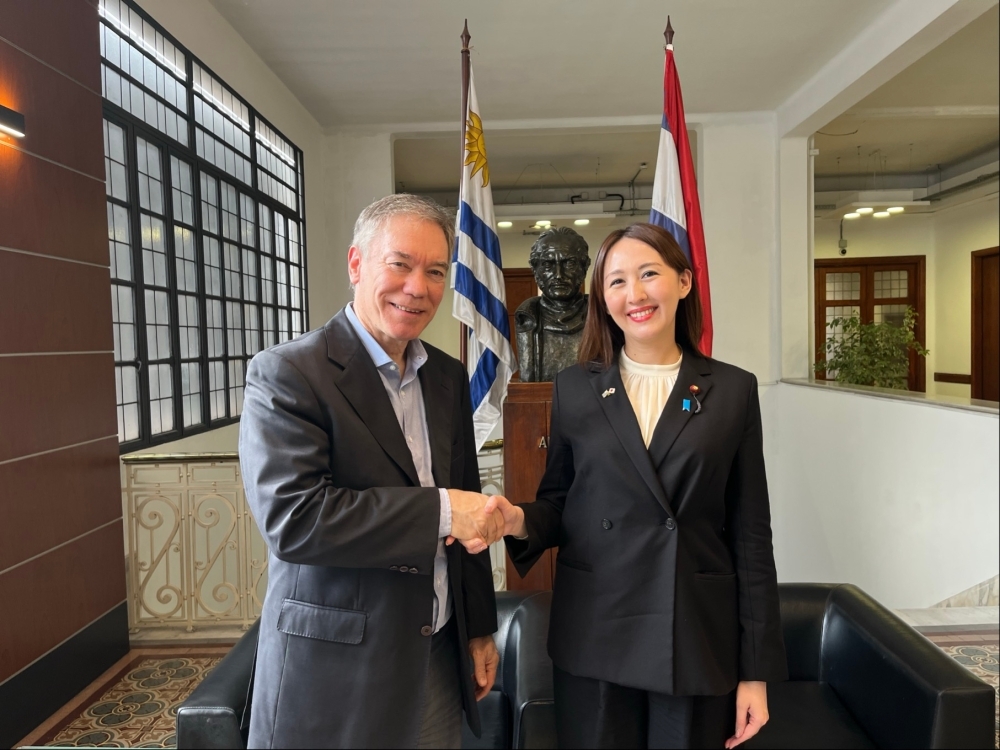 Meeting with Mr. Martin Vallcorba, Acting Minister of Economy and Finance