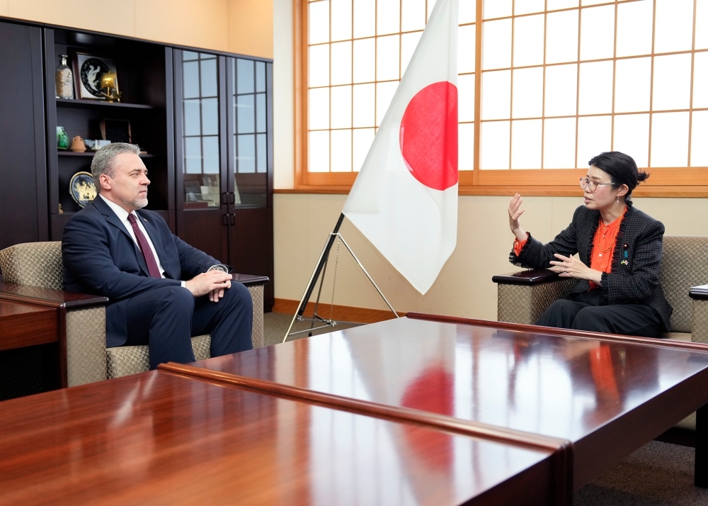 State Minister KUNIMITSU talking with Ambassador LUTOVINOV