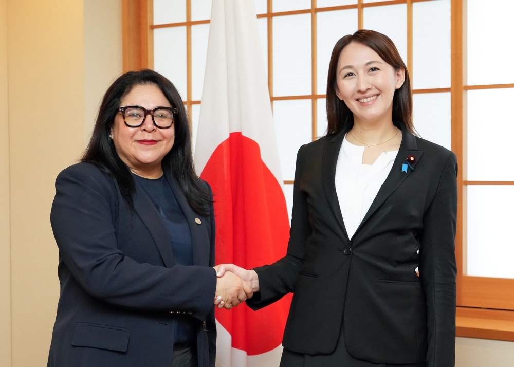 Parliamentary Vice-Minister Eri shaking hands with Vice Minister Bolaños