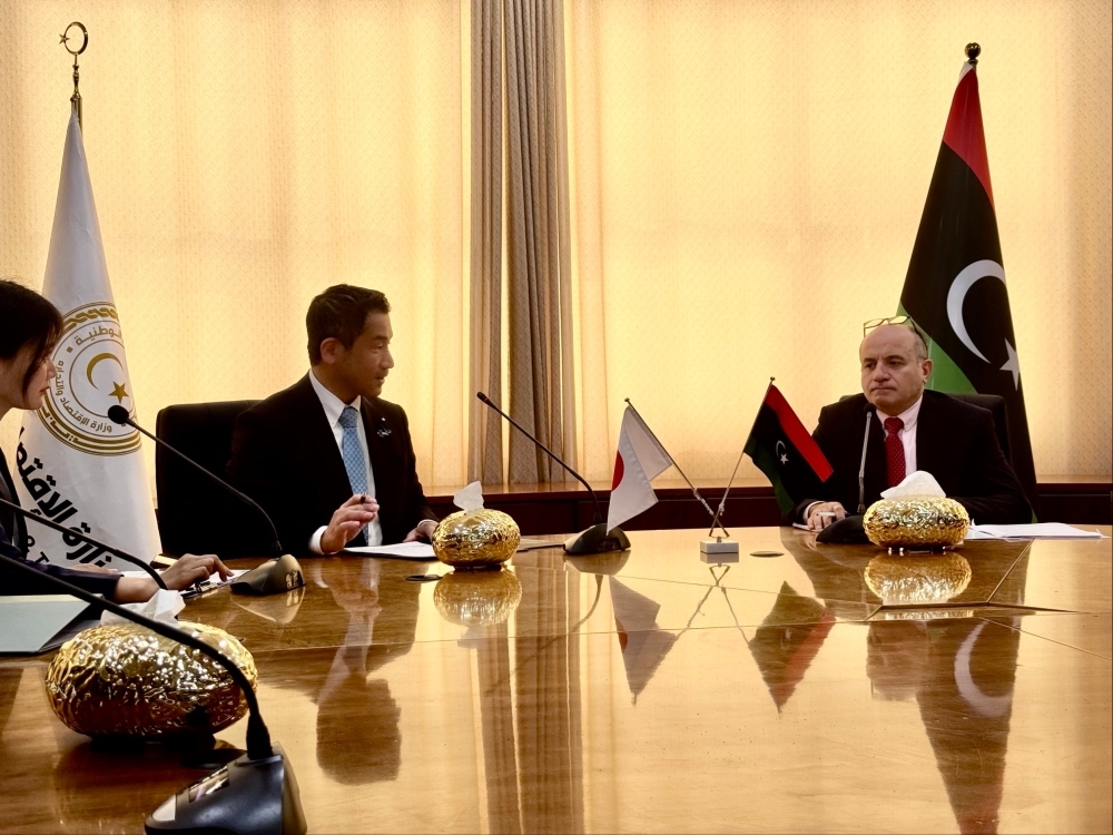Meeting between Parliamentary Vice-Minister ONISHI and Mr. HISHAM, Deputy Minister of Economy and Trade