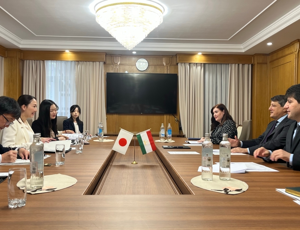 Parliamentary Vice-Minister ERI holding a meeting with Minister Kabir