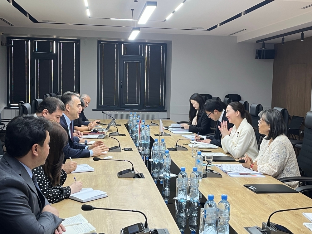 Parliamentary Vice-Minister ERI holding a meeting with Minister Juma