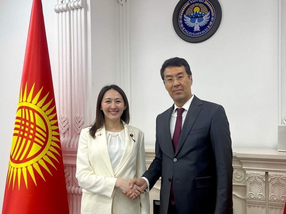 Parliamentary Vice-Minister ERI shaking hands with Deputy Minister Abakirov